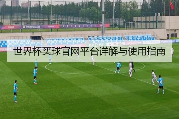 世界杯买球官网平台详解与使用指南