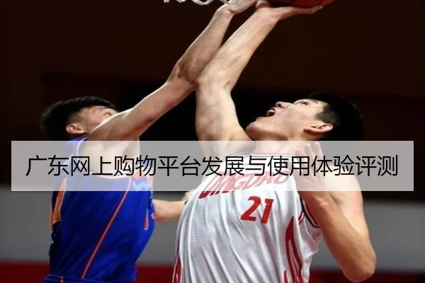 广东网上购物平台发展与使用体验评测