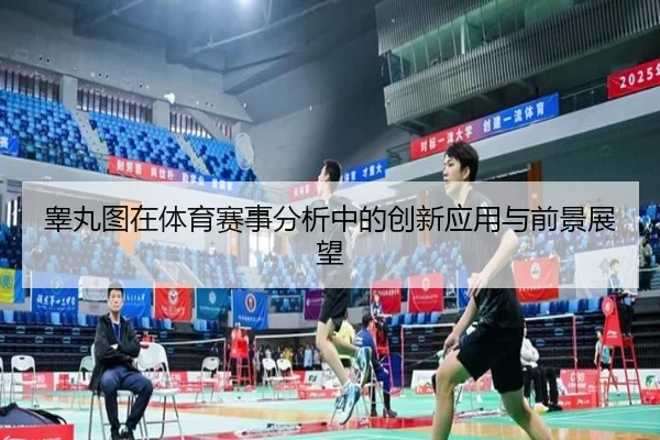睾丸图在体育赛事分析中的创新应用与前景展望 | letou