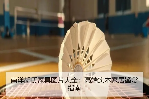 南洋胡氏家具图片大全：高端实木家居鉴赏指南